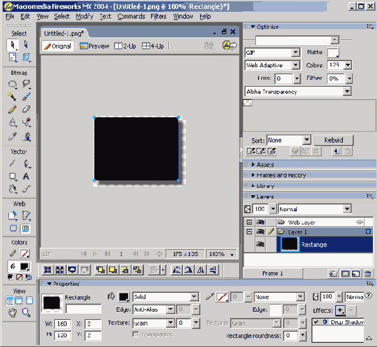       Flash MX