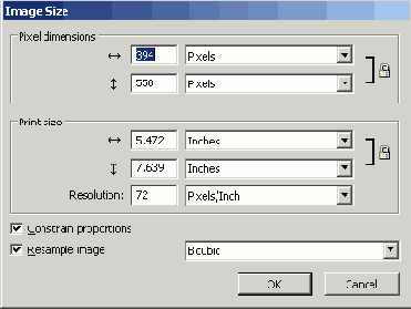    Image Size